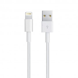 IPhone 5 AAA Lightning To USB Data Cable